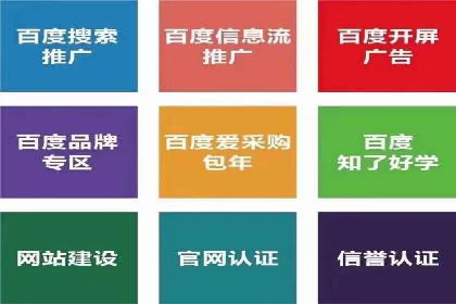 百度SEO推广策略调整：一个成功的调整案例